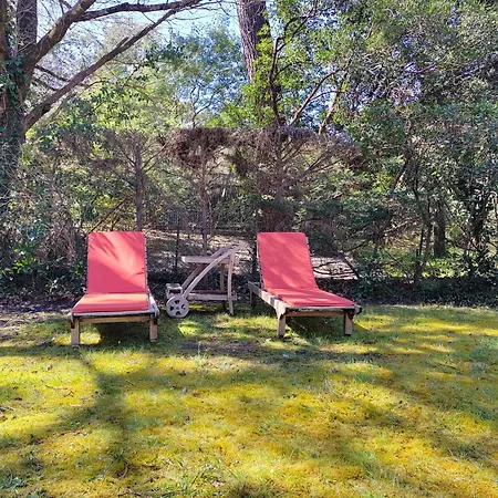 Villa Le Bordelou, 6-8 Pers, Heated Pool Lacanau