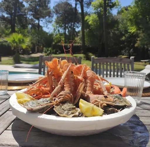 Le Bordelou, 6-8 Pers, Heated Pool Lacanau