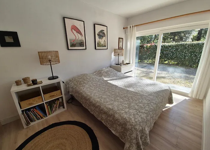 Le Bordelou, 6-8 Pers, Heated Pool Lacanau